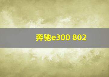 奔驰e300 802